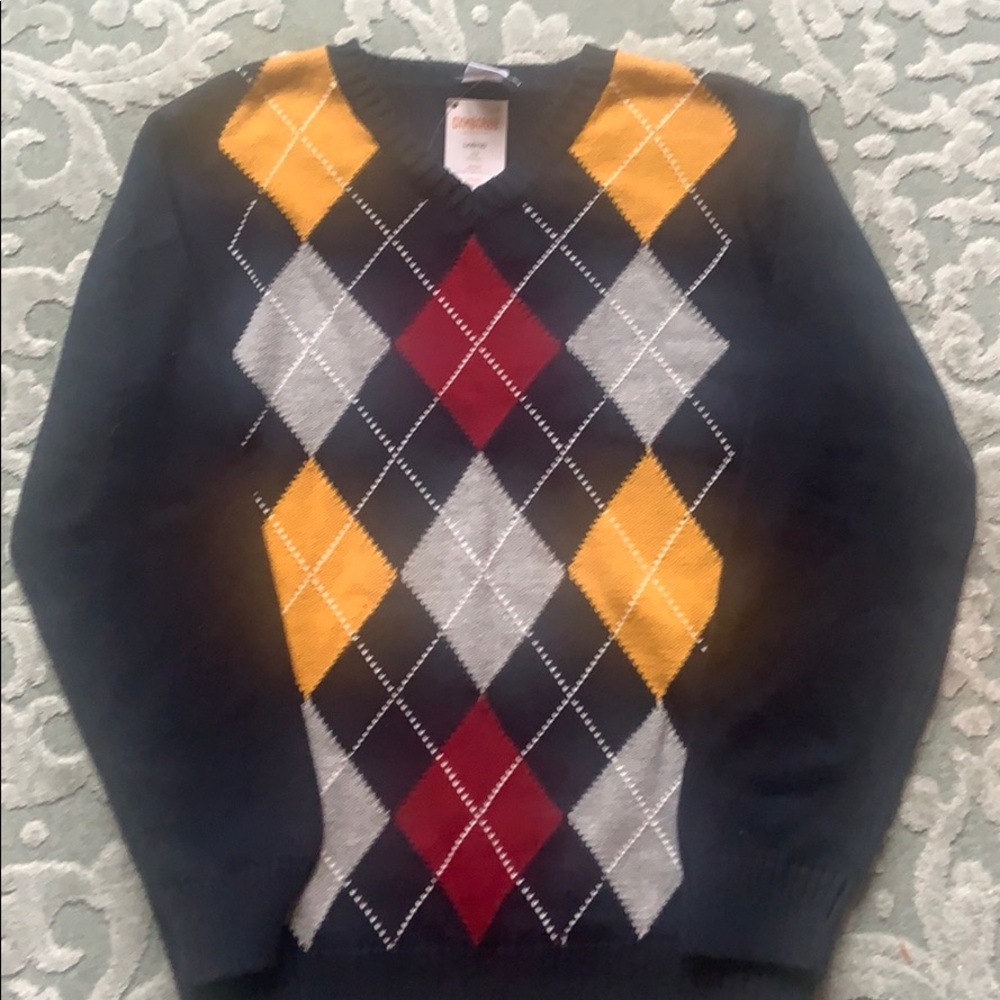 Boys Large Gymboree Sweater (10-12)
